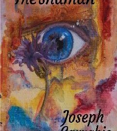 The Shaman now available on Kindle and in Print